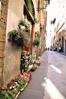 Historic center renovated apartment- Amazing location-By LikeHomeFlorence - Florence - 3