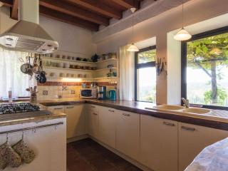 Holiday Home in Dordogne with Pool - Thenon - 7