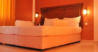 Mahanuge Hotel Polonnaruwa - Polonnaruwa - 8
