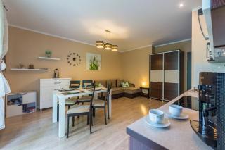 Apartament Brzozowy Zakątek - 5D Apartamenty - Świeradów-Zdrój - 7