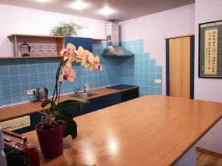 Park apartment - Kaunas - 2