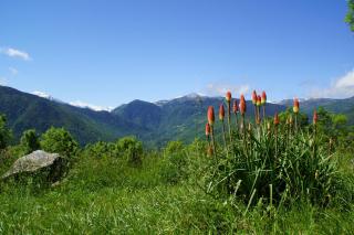 Chalets "les gentianes" - Sorgeat - 0