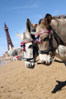 The Savoy Hotel - Blackpool - 1