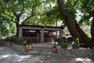 Hotel Zachos - Troulos - 7