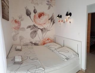 Apartman Raus Sabunike - Privlaka - 2