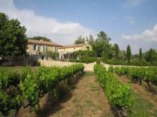 Countryhouse with Pool in Vaison-la-Romaine - Vaison-la-Romaine - 3