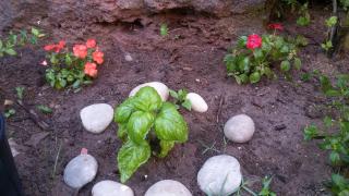 Pousada Container Eco Manguinhos - 1