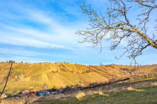 Vinska klet Smej - Lendava - 9