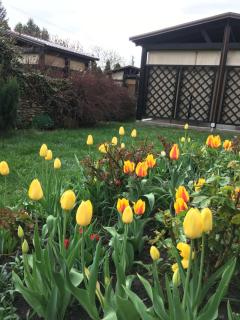 Mіnі Gotel Pozitiv - 9