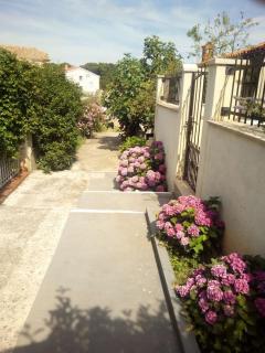 Apartman Vida - Pula - 7