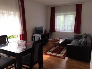 Apartmani Vidikovac - Golubac - 1