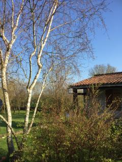 GITE DES CHOUETTES - 1