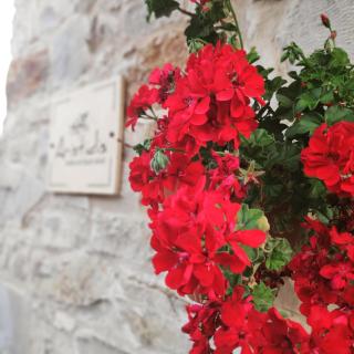 ARISTIDIS'S PLOUTI MOIRES - Ploutí - 4