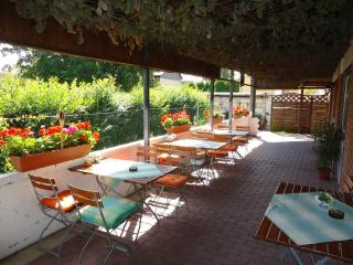 Hotel Ottersleben - Magdeburgo - 8