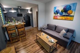 Apartament Kustronia z Garażem - 9