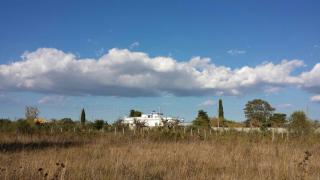 Frantoio Ninù - Gallipoli - 3