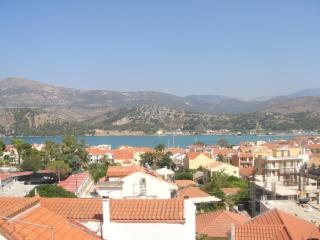 Barbara΄s Apartments - Argostoli - 7
