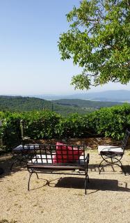 Podere Palazzolo (ADULTS ONLY) - Castellina in Chianti - 1