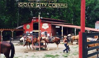 Forrest Hills Mountain Resort - Dahlonega - 4