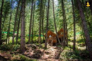LivingStone Ojuven Treehouses - 3