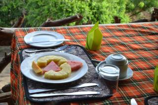 Hornbill Bush Lodge - 5