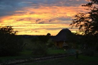 Hornbill Bush Lodge - Pakwach East - 8
