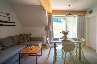 VIP Apartamenty Mountain Nosal - Zakopane - 1