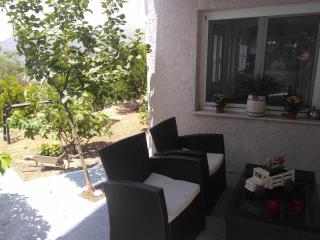 House with fruit trees, olive trees, and sea view. - Vathý - 8