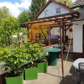 urige gemütliche Ferienwohnung 64 m2 in Dielheim, Nähe Heidelberg - Dielheim - 2