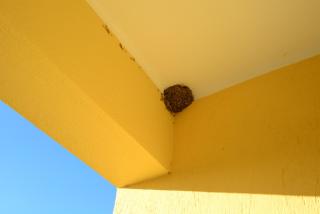 Marianna's Rooms - Skala Eresou - 6