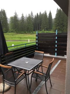 Silver Luxury 6 - Poiana Brasov - 1