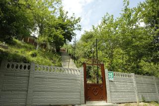 Beehives - Kutaisi - 2