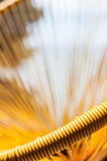 La maison des coquillages - mytouristhome - 4