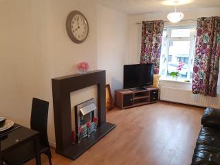 Cosy house near Edinburgh and St Andrew's - Kirkcaldy - 7