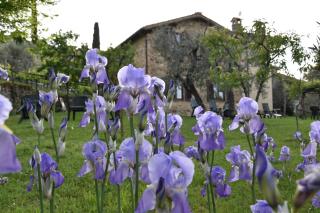 Casa Vacanze Porta Vecchia - Montalcino - 1