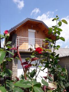 Apartman Darija - Vrdnik - 0