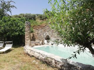 FattoriaTenuta Santa Caterina - 0