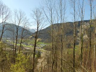 Klausberg-Hütte - Bezau - 9