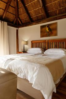 Addo Wildlife - Addo - 3