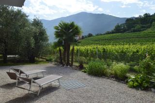 Casa Mamma Pina - Arco - 5