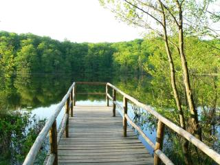 Bungalow Nr_ 7 _ 8 - Binz - 9