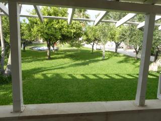 L'ULIVO Marzamemi - Noto - 8