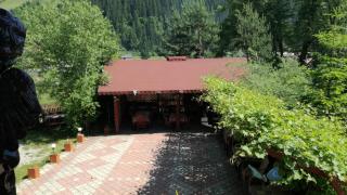 Flori de Bucovina - 5