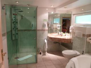 Hotel Restaurant Les Pins logis - Haguenau - 1