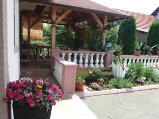 Guesthouse Tomas - Čatrnja - 2