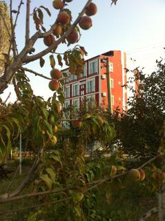 Boss 2 Hotel - Eceabat - 0