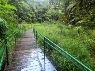 La Selva Biological Station - Sarapiquí - 4