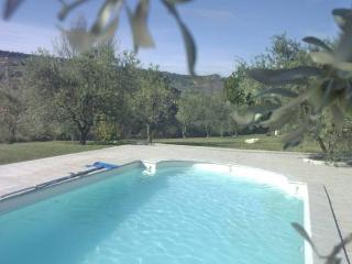 L' oliveraie - Mirabel-aux-Baronnies - 9