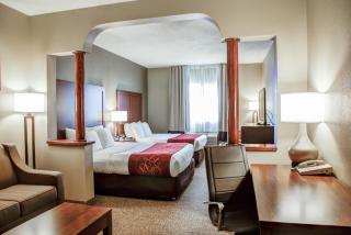 Comfort Suites Lombard - Addison - Lombard - 1