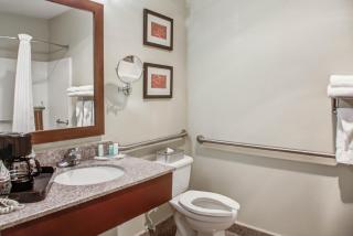 Comfort Suites Lombard - Addison - Lombard - 7